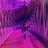 electriclights